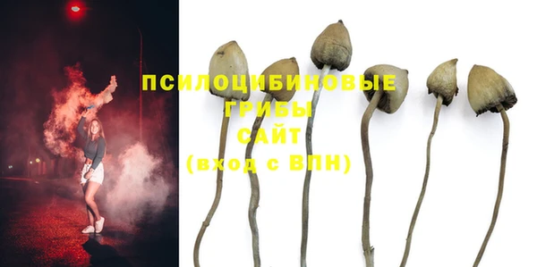 каннабис Алзамай