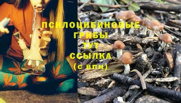 каннабис Алзамай