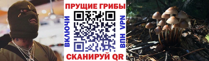 mega вход  Сарапул  Галлюциногенные грибы Magic Shrooms  цена наркотик 